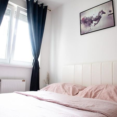 Apartman Black Star Apartment Нови Сад Екстериор снимка