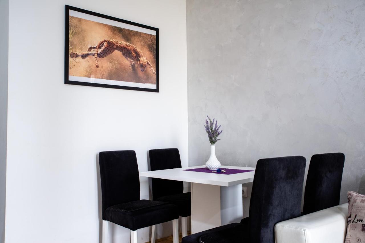 Apartman Black Star Apartment Нови Сад Екстериор снимка